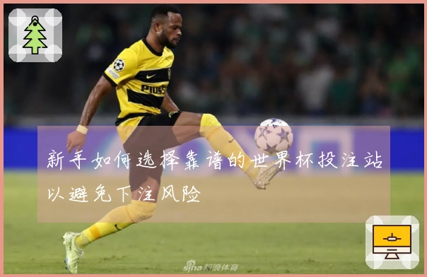 新手如何选择靠谱的世界杯投注站以避免下注风险
