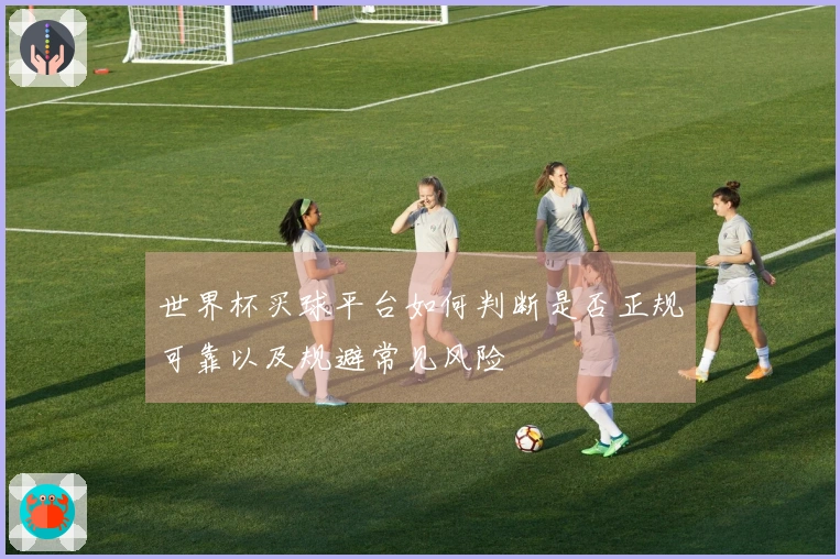 世界杯买球平台如何判断是否正规可靠以及规避常见风险