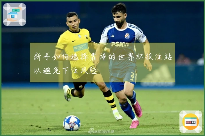 新手如何选择靠谱的世界杯投注站以避免下注风险